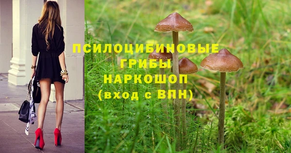 мет Богородицк