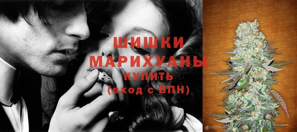 дурь Богданович